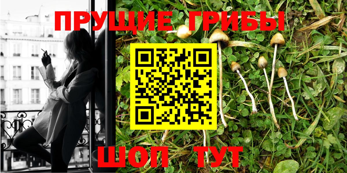 Галлюциногенные грибы GOLDEN TEACHER Улан-Удэ